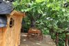 cabane en bois dans les arbres